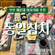 부산 해운대 이자카야 동일참치 본점 (ft. 참치회 뱃살모듬 )