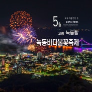 2024 고흥 녹동바다불꽃축제 비봉산에서 본 고흥녹동불꽃축제