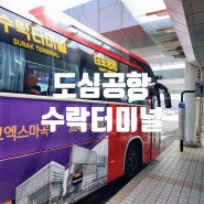의정부 양주에서 김포공항 인천공항 가는 방법 도심수락공항터미널 리무진 버스 시간표