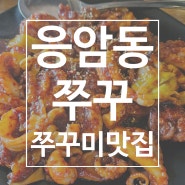 서울 은평구 응암동 새절역 한식 주꾸미 전문점 맛집 - 쭈꾸 내돈내산 후기