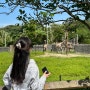 [대만여행] 둘 째날, 타이베이 시립동물원, 우육면, 융캉제 카페, 시먼역 칵테일 바