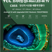 85인치 85C855 가성비 QLED TV 끝판왕 85인치 전 세계 안드로이드 TV 점유율 1위 TCL TV 행사