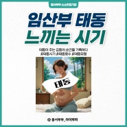 태동 느끼는 시기 및 횟수ㅣ태동이 주는 감동의 순간을 기록