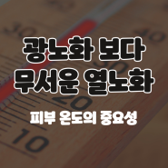 바오뜨에스테틱이 알려주는 열노화 그리고 피부온도의 중요성, 서초 교대 피부관리