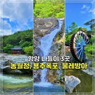 함양 화림동 계곡의 농월정, 용추폭포,물레방아 공원