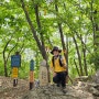 백두대간 윤지미산 등산코스 판곡리 최단코스 산행