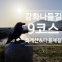 강화나들길 9코스 교동도 다을새길(월선포~화개산~월선포)