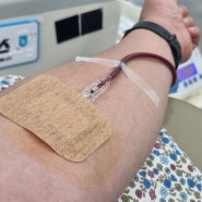 오늘은 헌혈하는 날.
