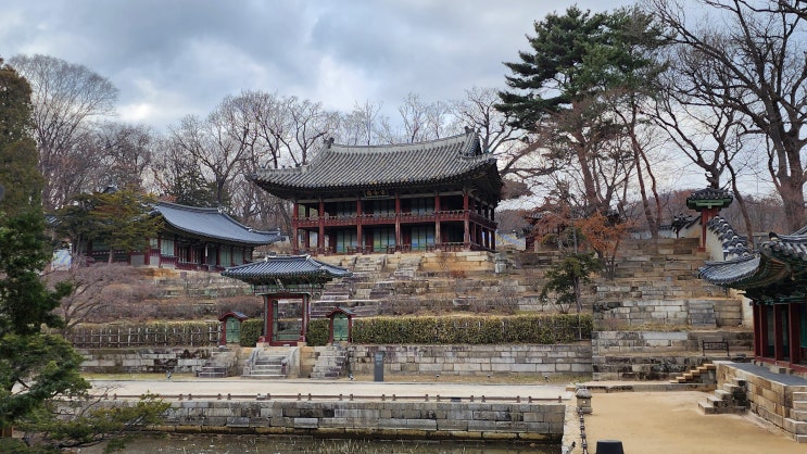 창덕궁 비원과 정조 규장각 : 네이버 블로그