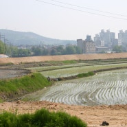 [토지특강] 토지리모델링으로 땅값을 올리는 방법