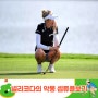 LPGA 넬리코다 파3 셉튜플보기(+7)컷탈락 골프규칙