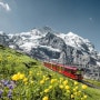 (스위스 신혼여행) 스위스 트래블패스 스위스 여행 준비물 추천!