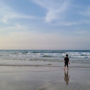 [아이랑 여행] 제주 Day1 - 미성년자 바이오등록, 세화해변, 오조 파스타&피자