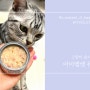 #아이엠캣 퓨처 3_울 냥이 장 건강 생각한다면 유산균 포함된 고양이습식캔 아이엠캣