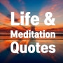 [영어 명언] 삶과 명상에 대한 글귀 모음 Life and Meditation Quotes