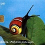 쿠바 그림달팽이