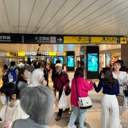 도쿄 지하철 노선 어플 누아메트로 이용 후기