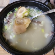 [전주/맛집] 금암우족탕 : 전주버스터미널 인근 혼밥 가능한 인생 맛집