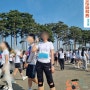 쾌청한 5월 일상 (1) - 여성마라톤 이천도자기축제 삼체 서울랜드 선업튀 두리닭발