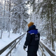 북유럽 오로라 말고도 볼거리 많다! 핀란드여행 로바니에미 동물원 후기