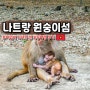 베트남 나트랑 원숭이섬 자유여행 후기 가는법 입장료 배시간