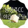 240529 남양주CC 야간 라운딩 후기 / 서울 근교 골프장