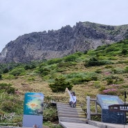 6월 한라산 등산코스, 돈내코코스로 남벽분기점(한라산 철쭉)가보셨어요?