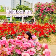 6월 가볼만한곳 올림픽공원 장미꽃축제 개화현황 장미광장 주차