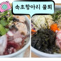 속초 현지인 추천 맛집 속초항아리 물회/카페보다 멋진 속초 뷰 맛집