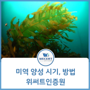'미역 양성 시기, 방법' 친환경 수산물 인증기관 '위써트인증원'