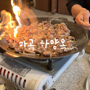 강서구 한정식 맛집 : 마곡/마곡나루 한정식 솥밥 전문 "하양옥"