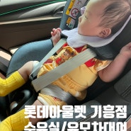 아기랑 롯데프리미엄아울렛 기흥점 | 수유실 정보, 유모차 대여 방법(100일 아기 외출 준비물)