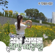 경기도 성남 걷기 좋은 산책로 단대오거리역 희망대공원 금계국 꽃놀이 스카이워크