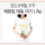 임신 8개월 31주 증상 / 잦은 배뭉침 / 태아 1.7kg / 백일해 주사