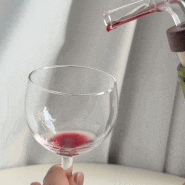에라주리즈 쉬라즈 칠레 와인 150주년 맛 미니 디켄더 푸어러 증정