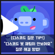 [디스코드 질문 TIP!] "디스코드 봇 채팅이 안보여요" 질문 해결 방법!