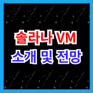 솔라나 EVM 솔라나 VM 코인 프리세일 정보