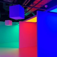 예술의 전당 한가람 미술관 제7전시실 크루즈 디에즈의 RGB 세기의 컬러들
