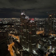 신주쿠 도쿄도청 무료 전망대 가는법 시간 야경 일본 도쿄 자유여행