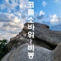 [북한산 코뿔소바위~비봉 일몰 등산 코스로의 산행] - 민낯여성산악회 산우님들과.. 서울 2024. 5. 31. 금