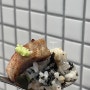 [창원 마산 맛집] 마산 산호동 고기 맛집, 고반식당 마산산호점