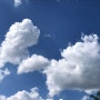 [일상] 구름과 함께 맛보는 행복의 절정