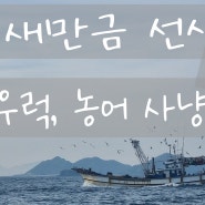 전북 군산시 새만금 비응항 선상낚시, 배낚시 광어, 우럭, 놀래미 사냥!