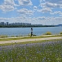남양주한강공원 삼패지구_나들이 하기 딱 좋은 시즌. 조용하고 여유로운 한강공원