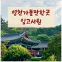 경북 영천가볼만한곳 임고서원 대구근교 은행나무 명소