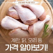 고물가 시대! 가금산물(계란, 닭, 오리 등) 가격 알아보는 방법!