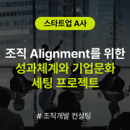 [조직개발 컨설팅] 스타트업 A사 조직 Alignment를 위한 성과체계 및 기업문화 세팅 프로젝트