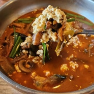 강릉 애견동반 식당, 초당애 순두부짬뽕 후기