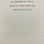 앉아서 먹기만 하고 진짜 별루당