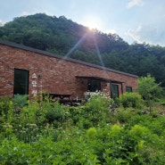 소백산 천동계곡 맛집 [소담정] 가마솥 손두부 전문점